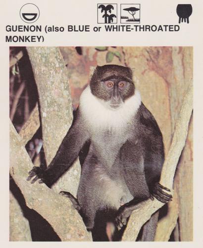 1975-80 Leisure Books Wildlife Treasury #6130-04 Guenon (also Blue or White-Throated Monkey) Front