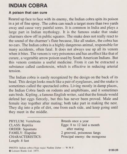 1975-80 Leisure Books Wildlife Treasury #6130-06 Indian Cobra Back