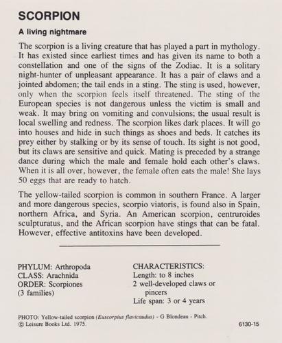1975-80 Leisure Books Wildlife Treasury #6130-15 Scorpion Back