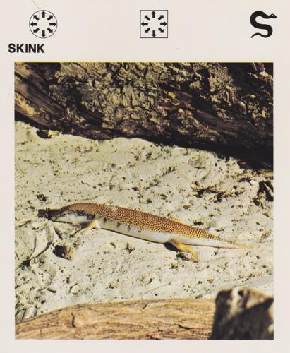 1975-80 Leisure Books Wildlife Treasury #6130-21 Skink Front