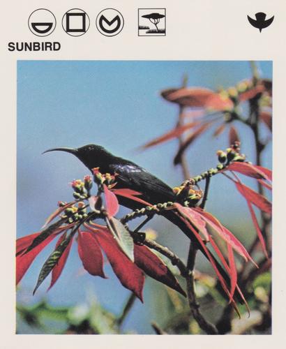 1975-80 Leisure Books Wildlife Treasury #6130-24 Sunbird Front