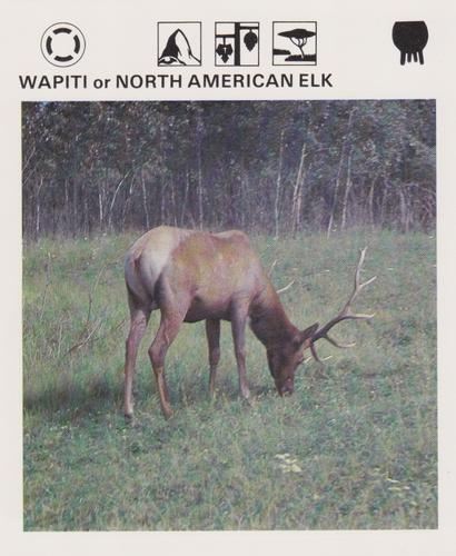 1975-80 Leisure Books Wildlife Treasury #6133-03 Wapiti or North American Elk Front