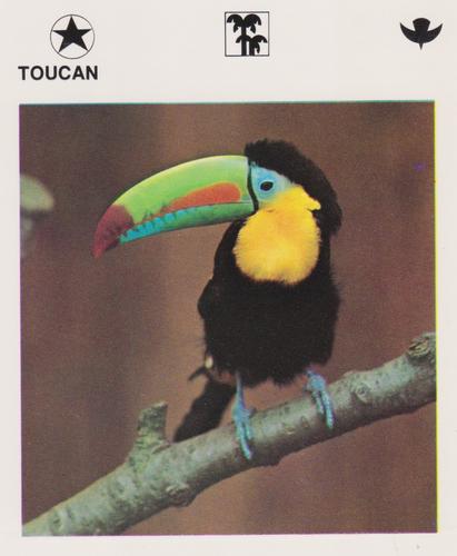 1975-80 Leisure Books Wildlife Treasury #6133-13 Toucan Front