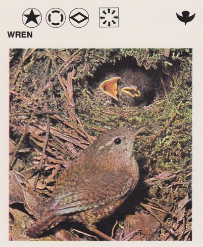 1975-80 Leisure Books Wildlife Treasury #6133-23 Wren Front