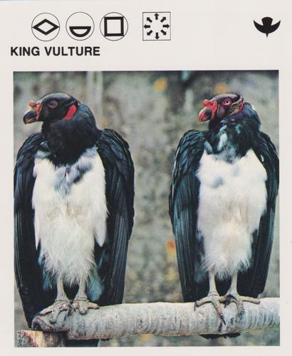 1975-80 Leisure Books Wildlife Treasury #6134-03 King Vulture Front