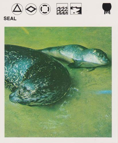 1975-80 Leisure Books Wildlife Treasury #6134-10 Seal Front