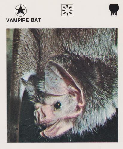 1975-80 Leisure Books Wildlife Treasury #6134-14 Vampire Bat Front