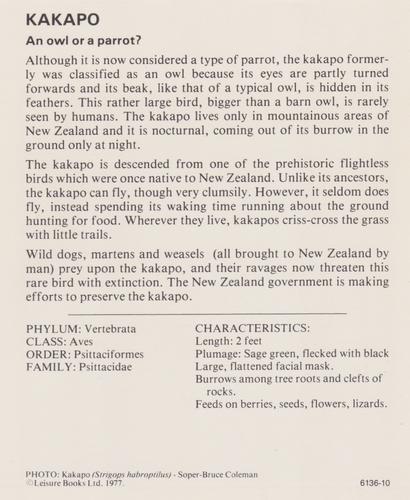 1975-80 Leisure Books Wildlife Treasury #6136-10 Kakapo Back