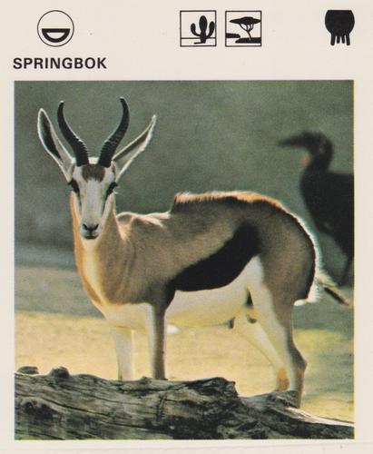 1975-80 Leisure Books Wildlife Treasury #6136-21 Springbok Front