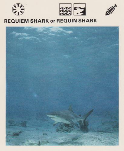 1975-80 Leisure Books Wildlife Treasury #6138-17 Requiem Shark or Requin Shark Front