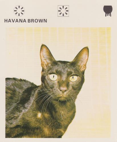 1975-80 Leisure Books Wildlife Treasury #6174-04 Havana Brown Front