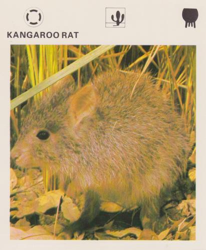 1975-80 Leisure Books Wildlife Treasury #6174-07 Kangaroo Rat Front