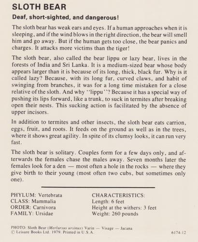 1975-80 Leisure Books Wildlife Treasury #6174-12 Sloth Bear Back