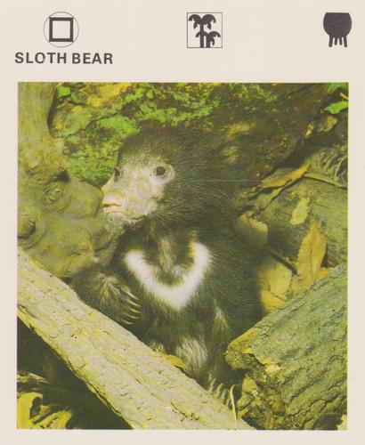 1975-80 Leisure Books Wildlife Treasury #6174-12 Sloth Bear Front