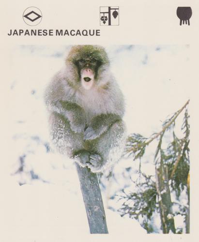 1975-80 Leisure Books Wildlife Treasury #6174-18 Japanese Macaque Front