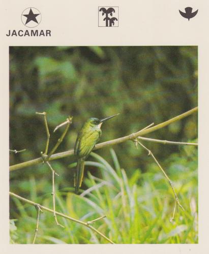 1975-80 Leisure Books Wildlife Treasury #6174-22 Jacamar Front