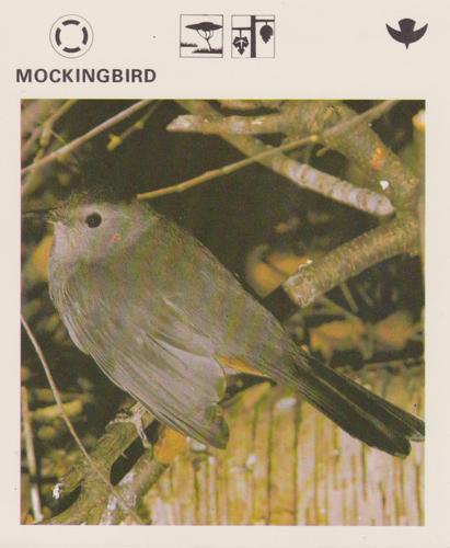 1975-80 Leisure Books Wildlife Treasury #6174-23 Mockingbird Front