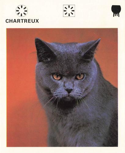 1975-80 Leisure Books Wildlife Treasury #6175-03 Chartreux Front