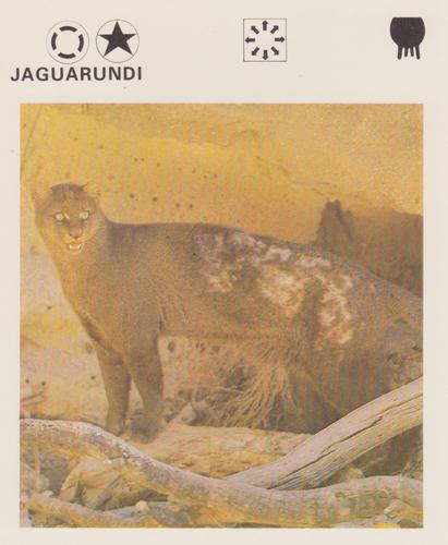 1975-80 Leisure Books Wildlife Treasury #6175-04 Jaguarundi Front