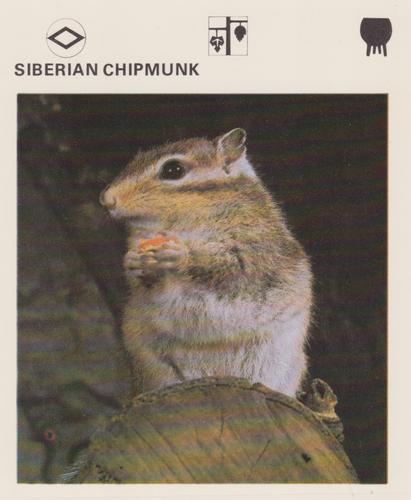 1975-80 Leisure Books Wildlife Treasury #6175-05 Siberian Chipmunk Front