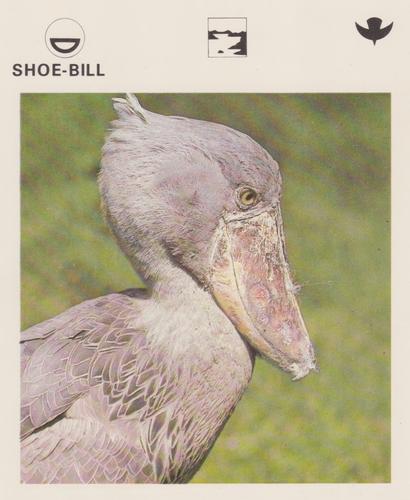 1975-80 Leisure Books Wildlife Treasury #6175-07 Shoe-Bill Front