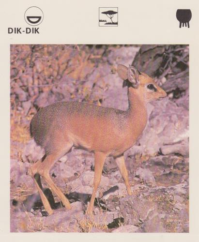 1975-80 Leisure Books Wildlife Treasury #6175-10 Dik-Dik Front