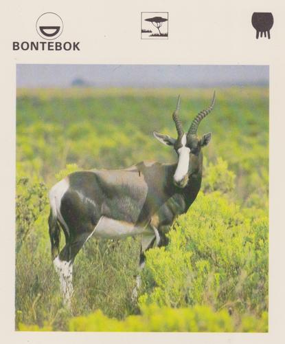1975-80 Leisure Books Wildlife Treasury #6175-14 Bontebok Front