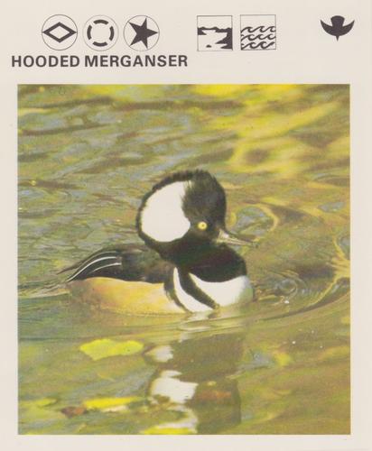 1975-80 Leisure Books Wildlife Treasury #6175-20 Hooded Merganser Front