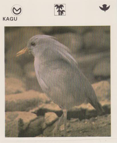 1975-80 Leisure Books Wildlife Treasury #6175-21 Kagu Front