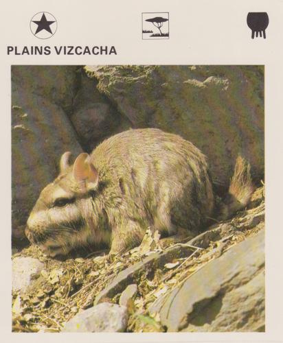 1975-80 Leisure Books Wildlife Treasury #6176-08 Plains Vizcacha Front