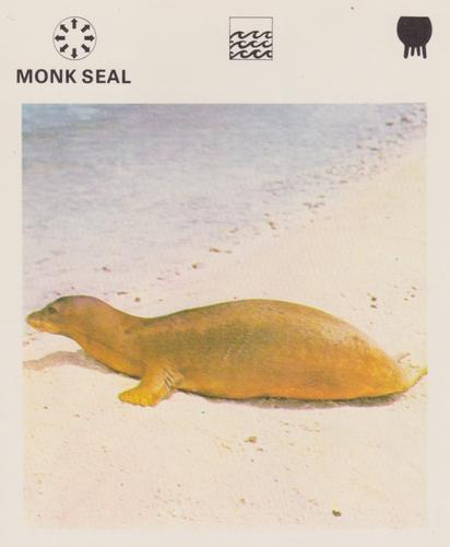 1975-80 Leisure Books Wildlife Treasury #6176-12 Monk Seal Front