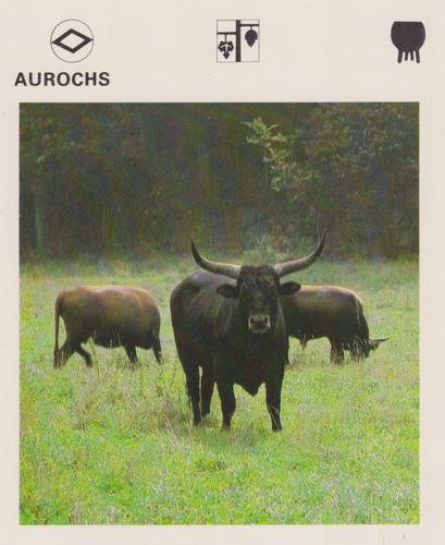 1975-80 Leisure Books Wildlife Treasury #6176-13 Aurochs Front