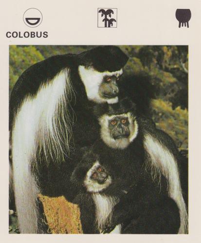 1975-80 Leisure Books Wildlife Treasury #6176-14 Colobus Front