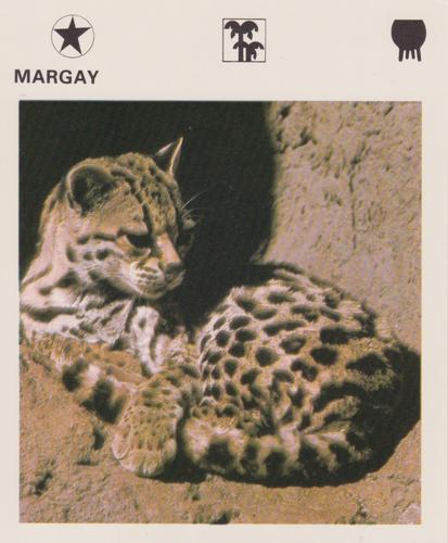 1975-80 Leisure Books Wildlife Treasury #6176-18 Margay Front