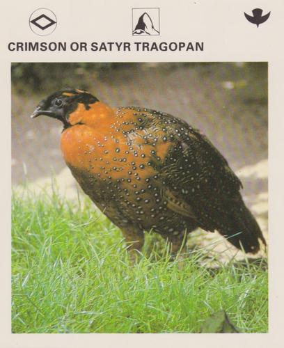 1975-80 Leisure Books Wildlife Treasury #6176-23 Crimson or Satyr Tragopan Front