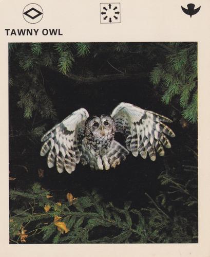 1975-80 Leisure Books Wildlife Treasury #6178-01 Tawny Owl Front