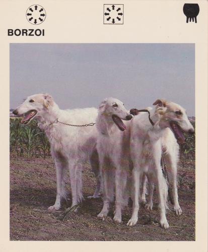 1975-80 Leisure Books Wildlife Treasury #6178-03 Borzoi Front