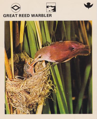 1975-80 Leisure Books Wildlife Treasury #6178-09 Great Reed Warbler Front