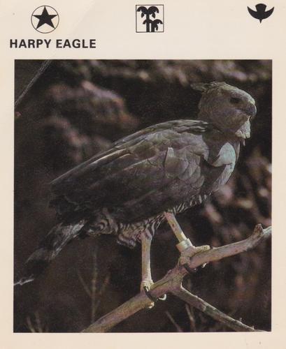 1975-80 Leisure Books Wildlife Treasury #6178-17 Harpy Eagle Front