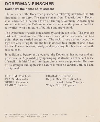 1975-80 Leisure Books Wildlife Treasury #6178-22 Doberman Pinscher Back