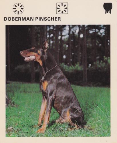 1975-80 Leisure Books Wildlife Treasury #6178-22 Doberman Pinscher Front