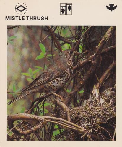1975-80 Leisure Books Wildlife Treasury #6178-23 Mistle Thrush Front
