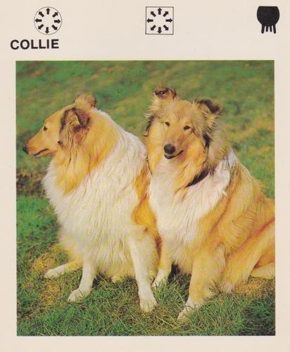 1975-80 Leisure Books Wildlife Treasury #6179-07 Collie Front