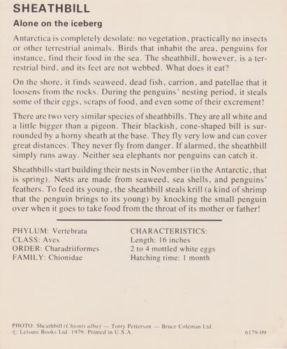 1975-80 Leisure Books Wildlife Treasury #6179-09 Sheathbill Back