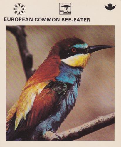 1975-80 Leisure Books Wildlife Treasury #6179-17 European Common Bee-Eater Front