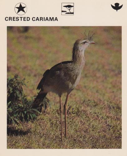 1975-80 Leisure Books Wildlife Treasury #6179-21 Crested Cariama Front