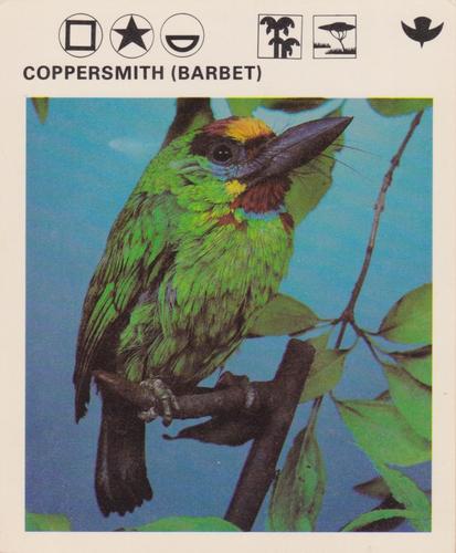 1975-80 Leisure Books Wildlife Treasury #6179-24 Coppersmith (Barbet) Front