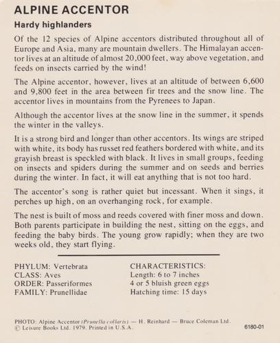 1975-80 Leisure Books Wildlife Treasury #6180-01 Alpine Accentor Back