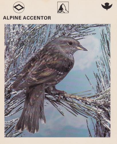 1975-80 Leisure Books Wildlife Treasury #6180-01 Alpine Accentor Front