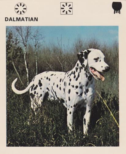 1975-80 Leisure Books Wildlife Treasury #6180-03 Dalmatian Front